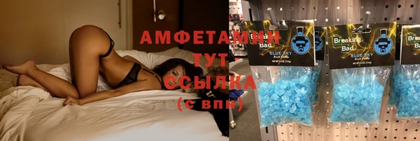 крисы Алзамай