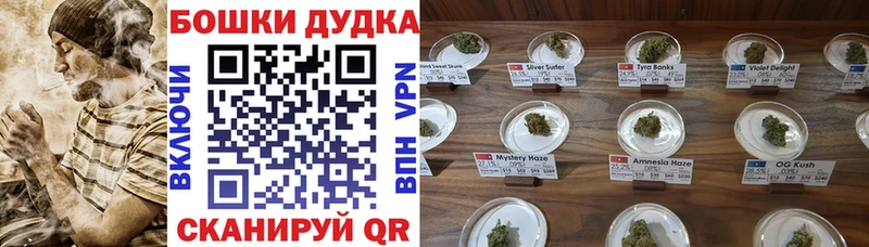 закладки  Приморск  Бошки Шишки Ganja 